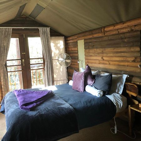 Teniqua Treetops Karatara Settlement Eksteriør billede