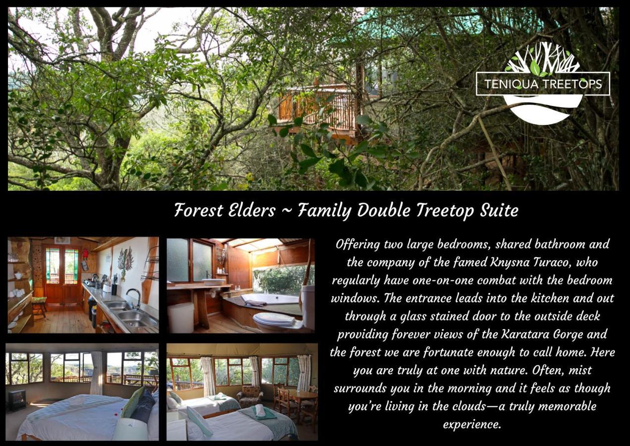 Teniqua Treetops Hotel Karatara Settlement Eksteriør billede