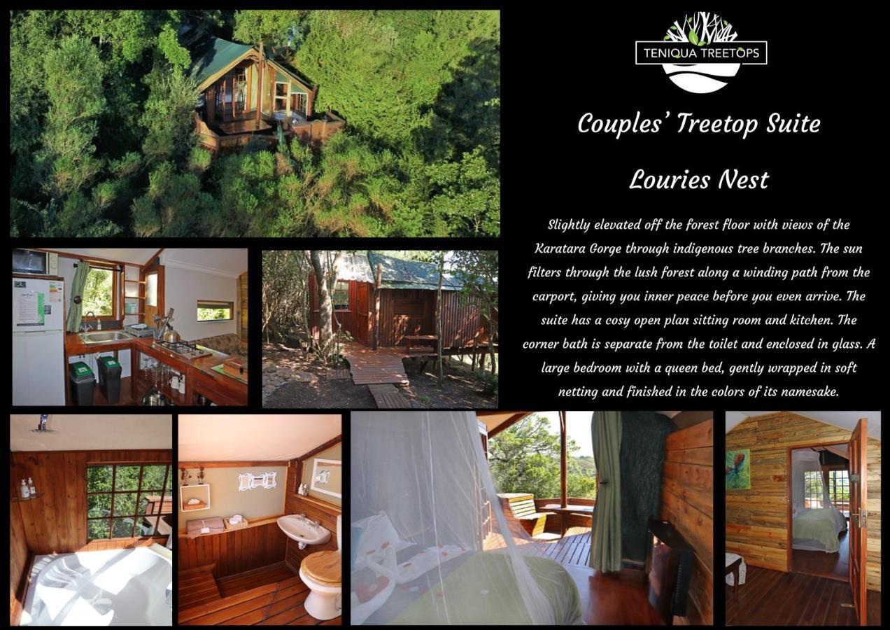 Teniqua Treetops Karatara Settlement Eksteriør billede