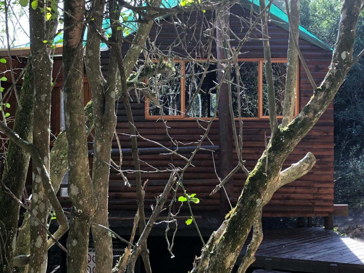 Teniqua Treetops Hotel Karatara Settlement Eksteriør billede