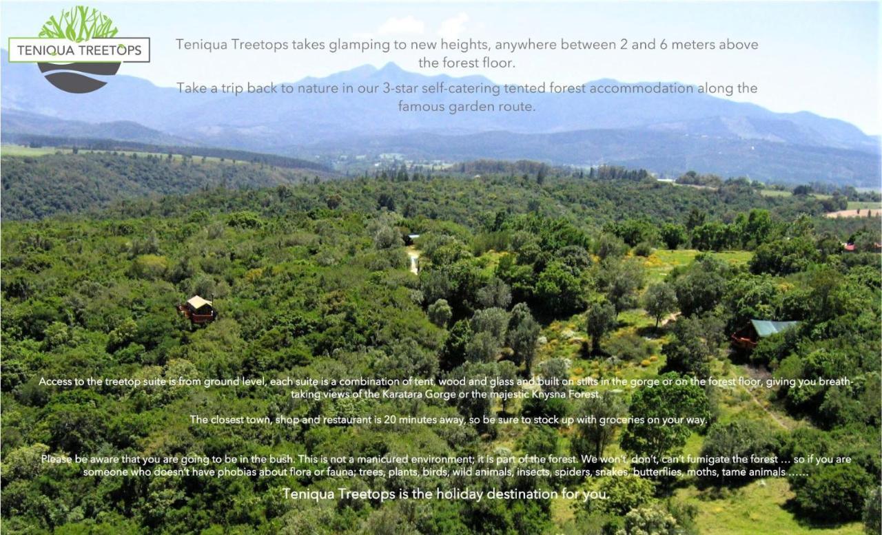 Teniqua Treetops Karatara Settlement Eksteriør billede