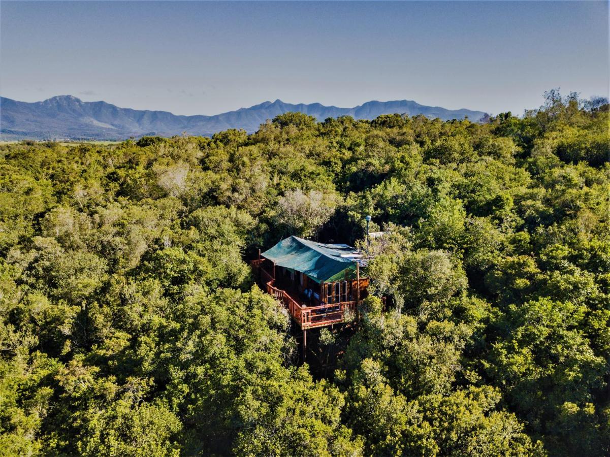 Teniqua Treetops Karatara Settlement Eksteriør billede