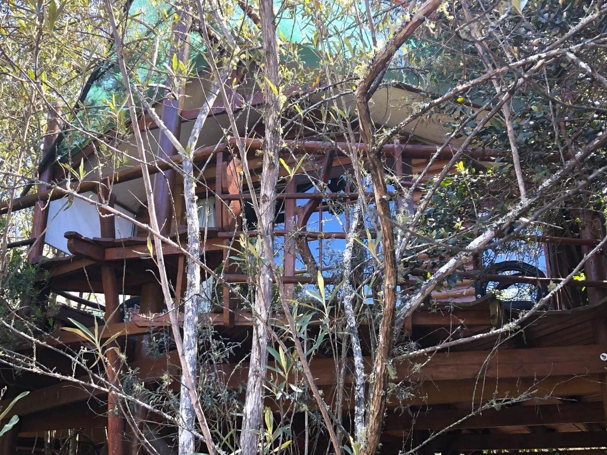 Teniqua Treetops Karatara Settlement Eksteriør billede