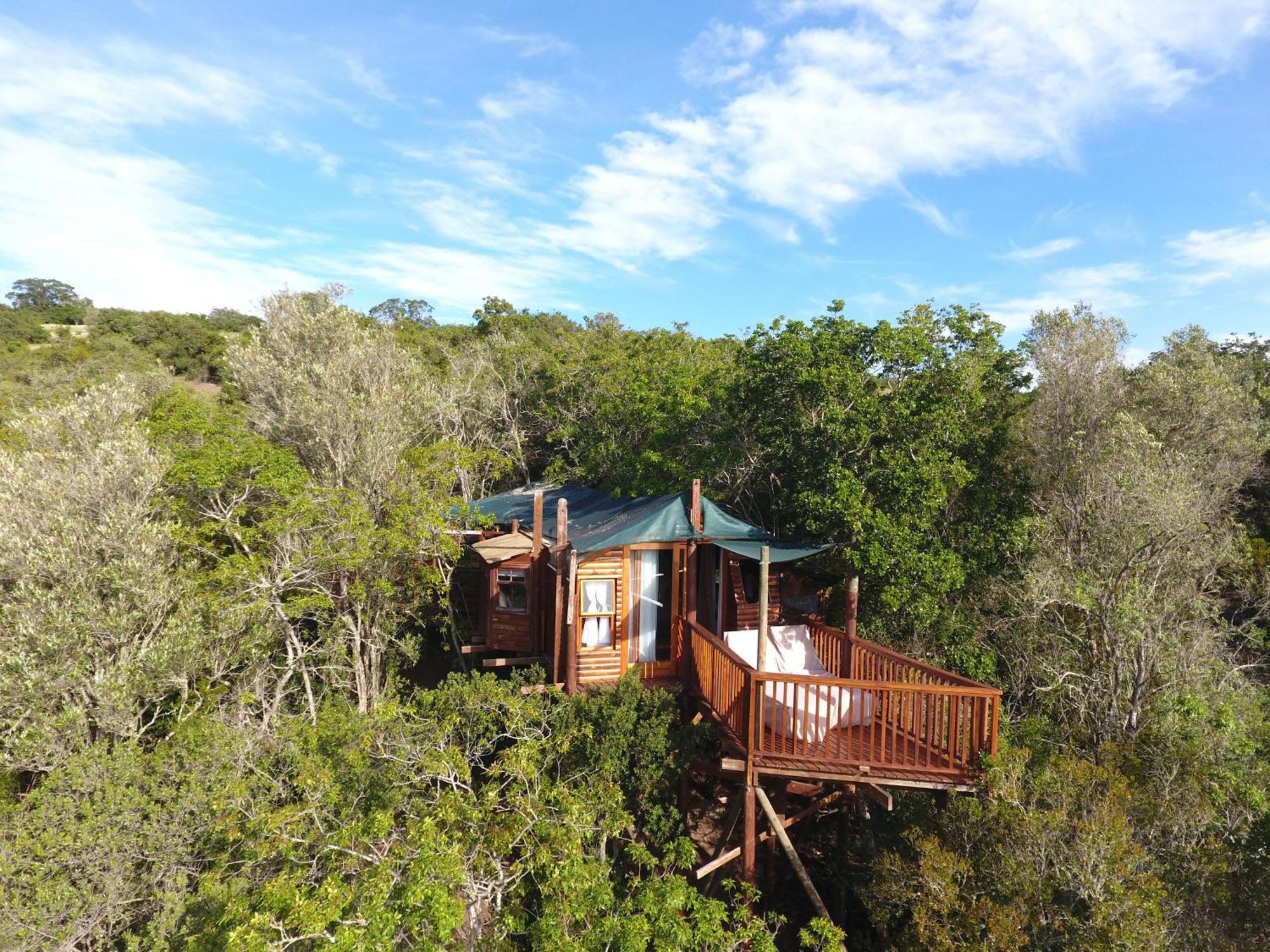 Teniqua Treetops Hotel Karatara Settlement Eksteriør billede