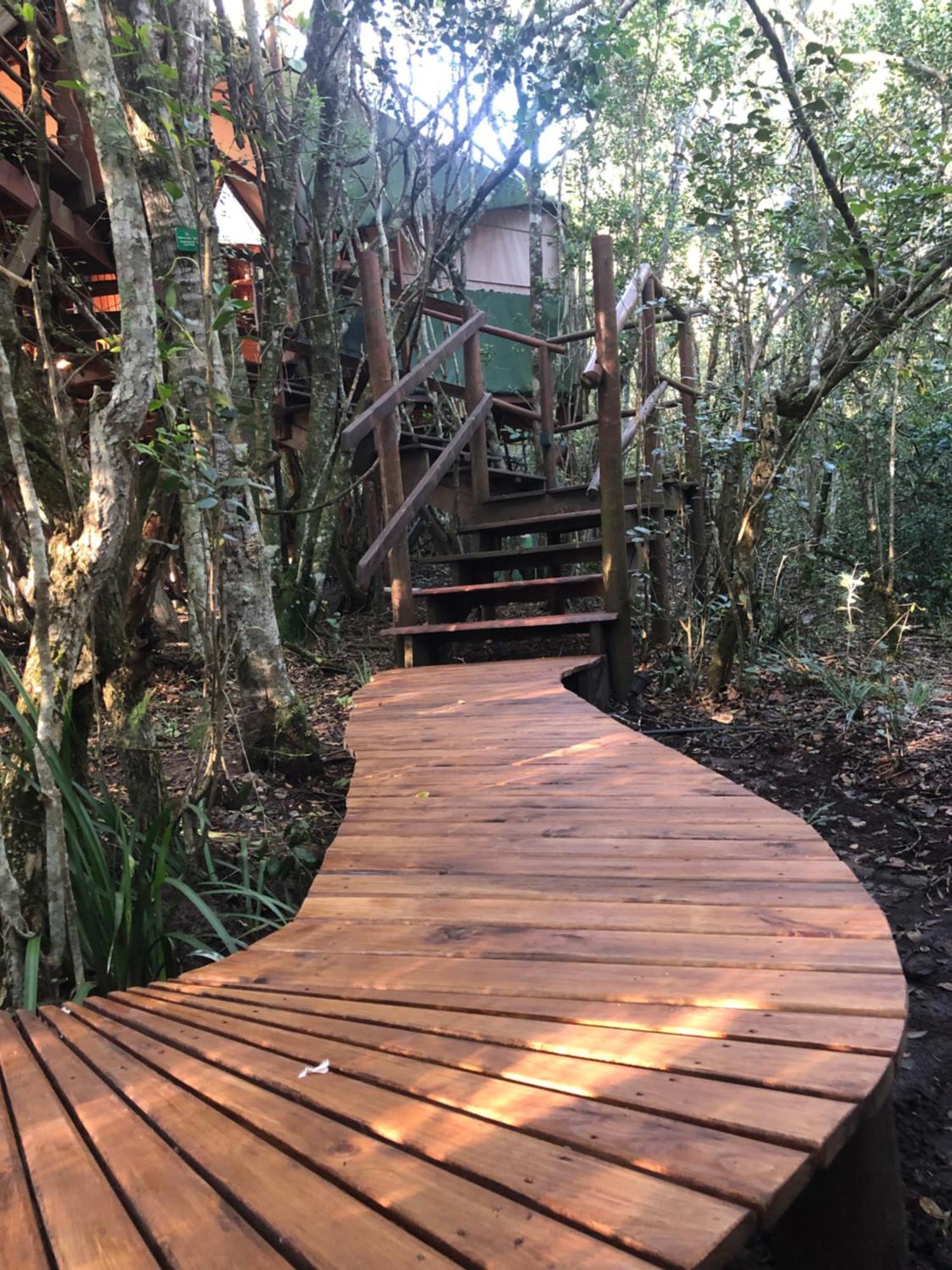 Teniqua Treetops Karatara Settlement Eksteriør billede