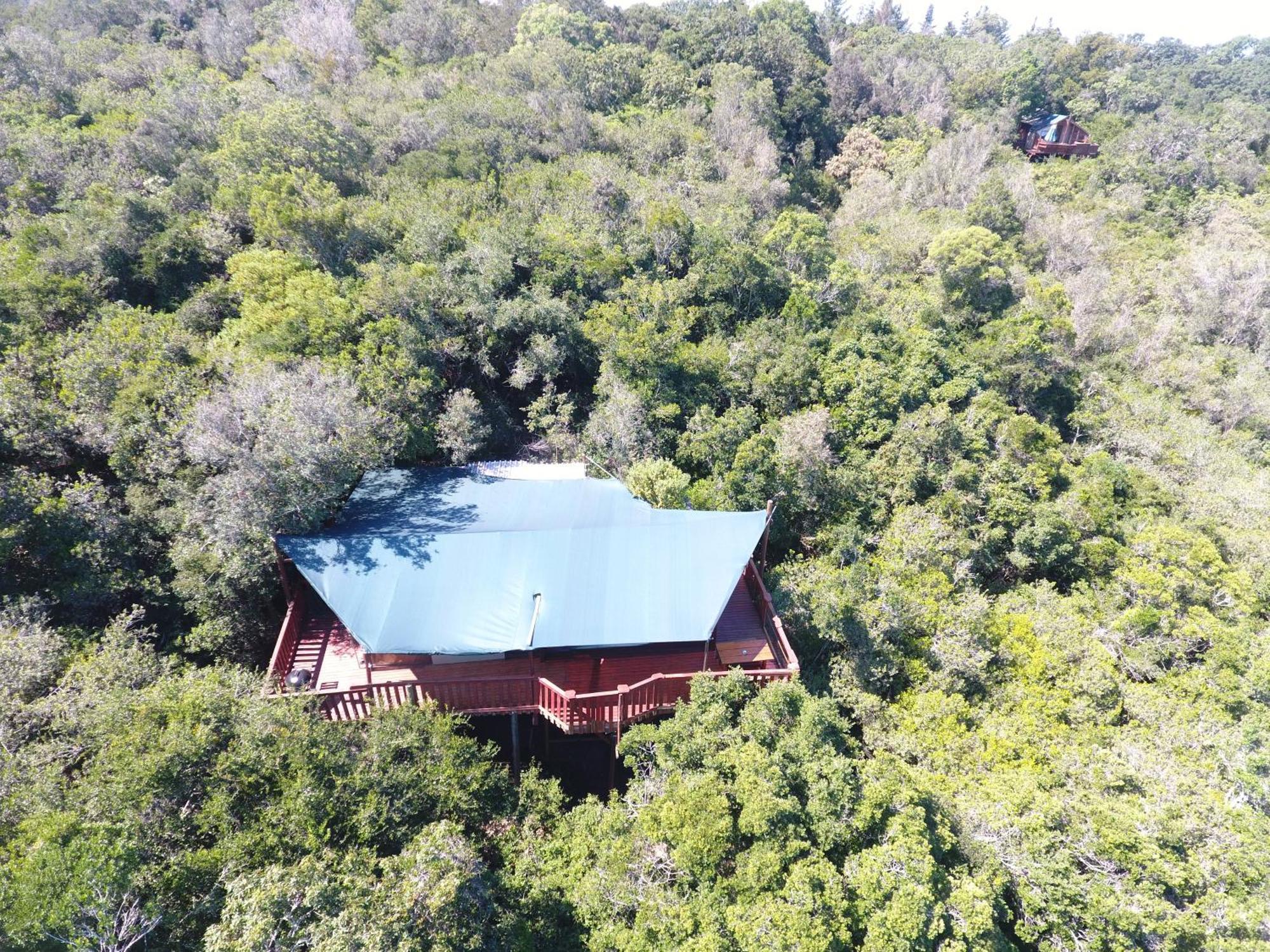 Teniqua Treetops Hotel Karatara Settlement Eksteriør billede