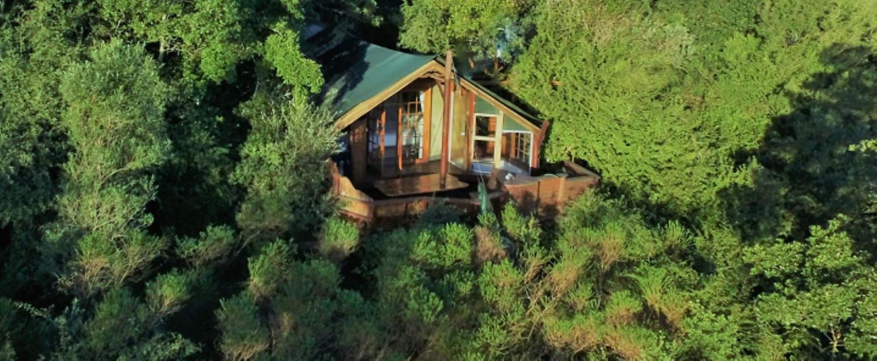 Teniqua Treetops Karatara Settlement Eksteriør billede