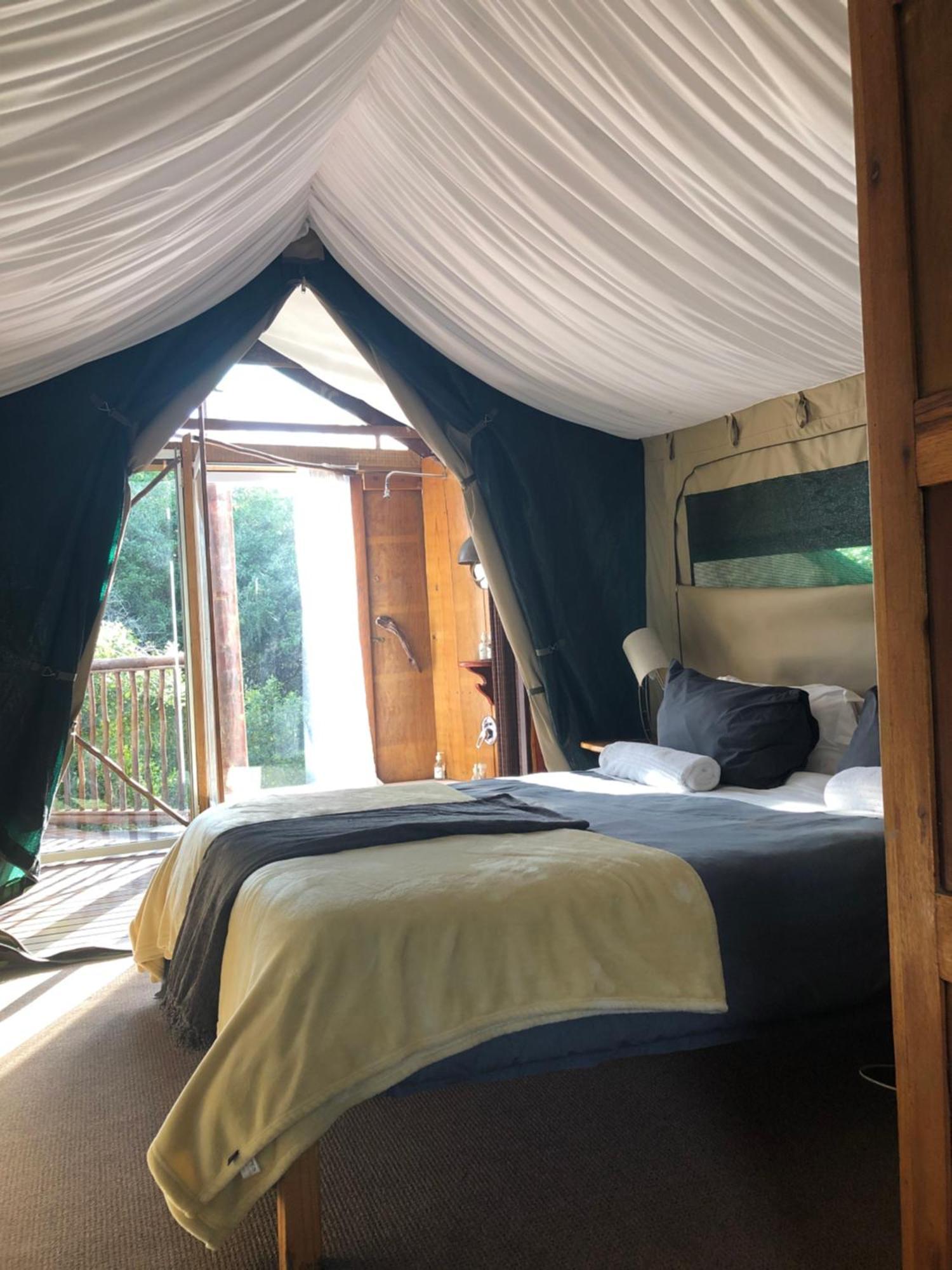 Teniqua Treetops Karatara Settlement Eksteriør billede