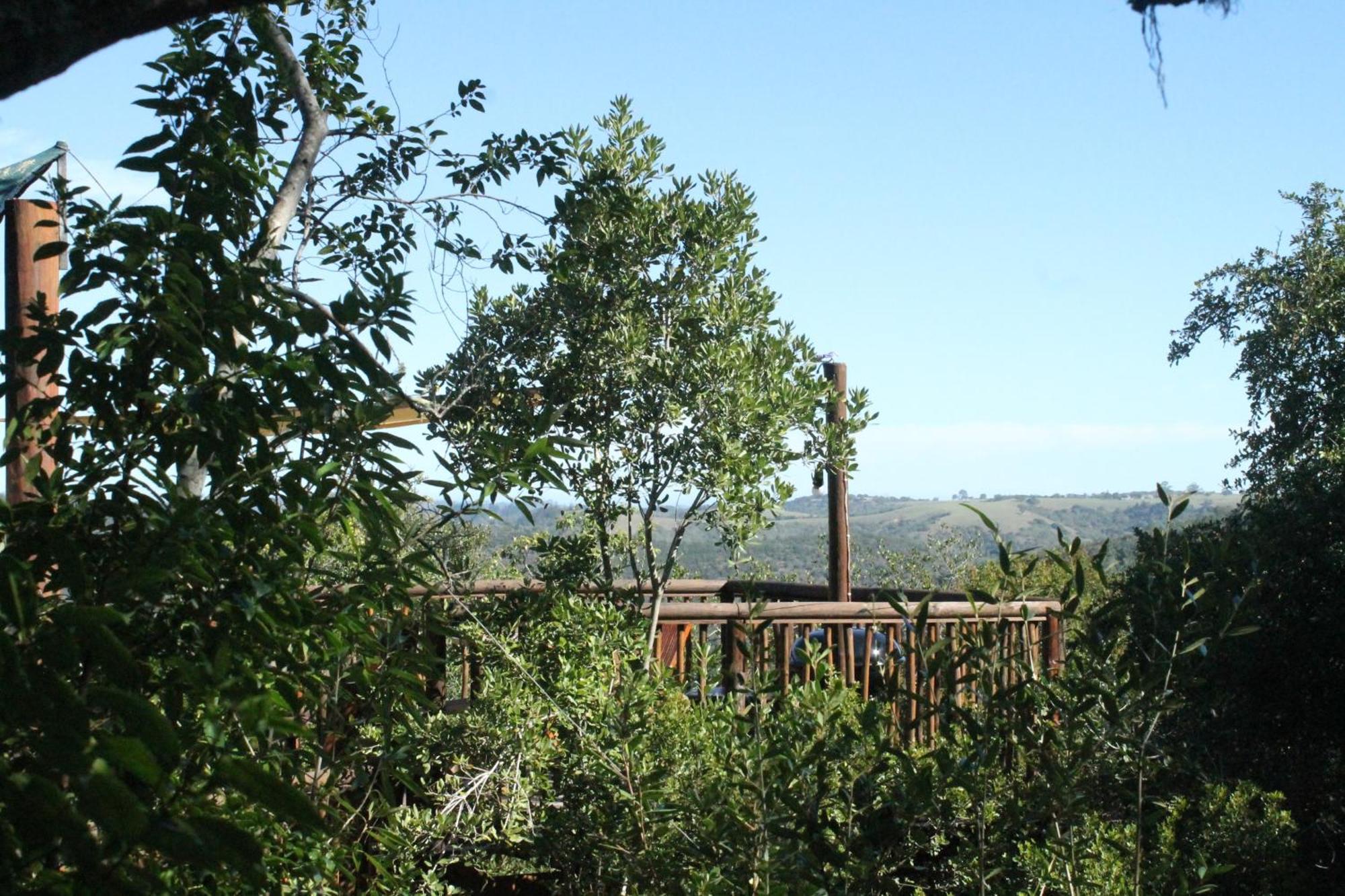 Teniqua Treetops Hotel Karatara Settlement Eksteriør billede