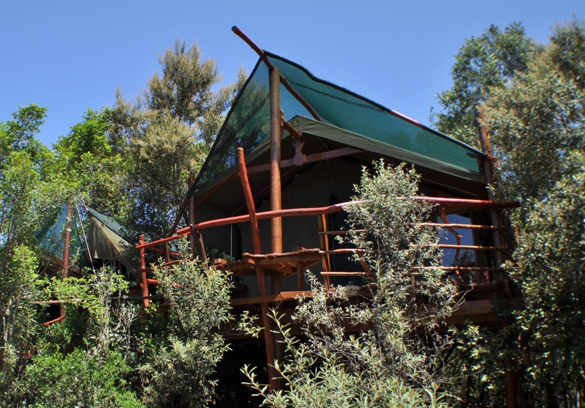 Teniqua Treetops Karatara Settlement Eksteriør billede