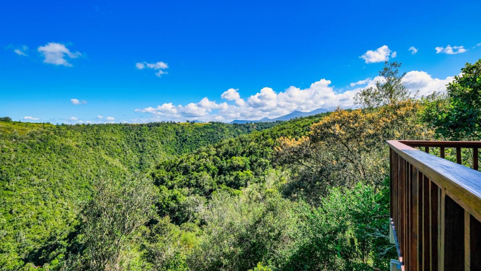 Teniqua Treetops Karatara Settlement Eksteriør billede