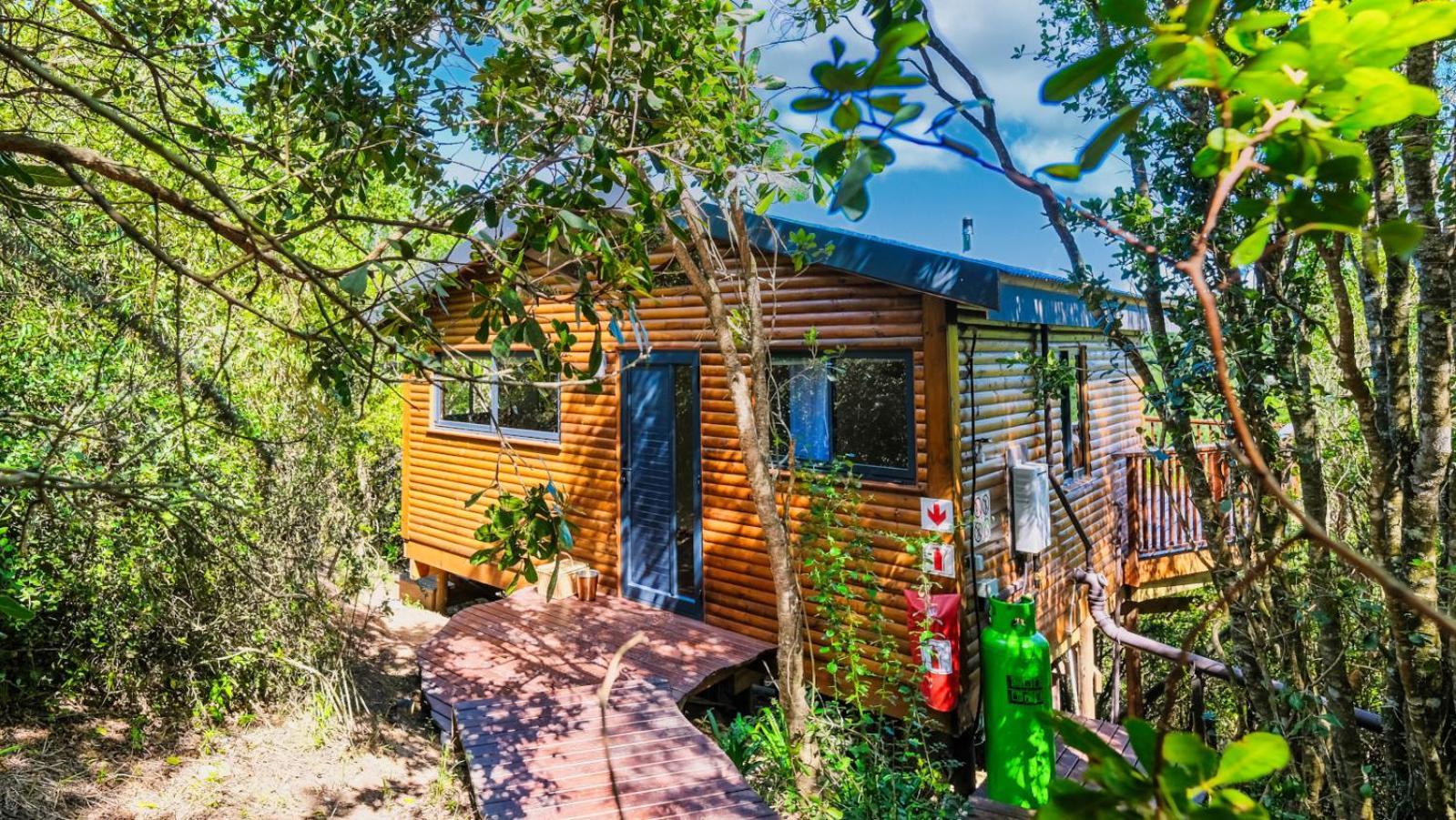 Teniqua Treetops Karatara Settlement Værelse billede