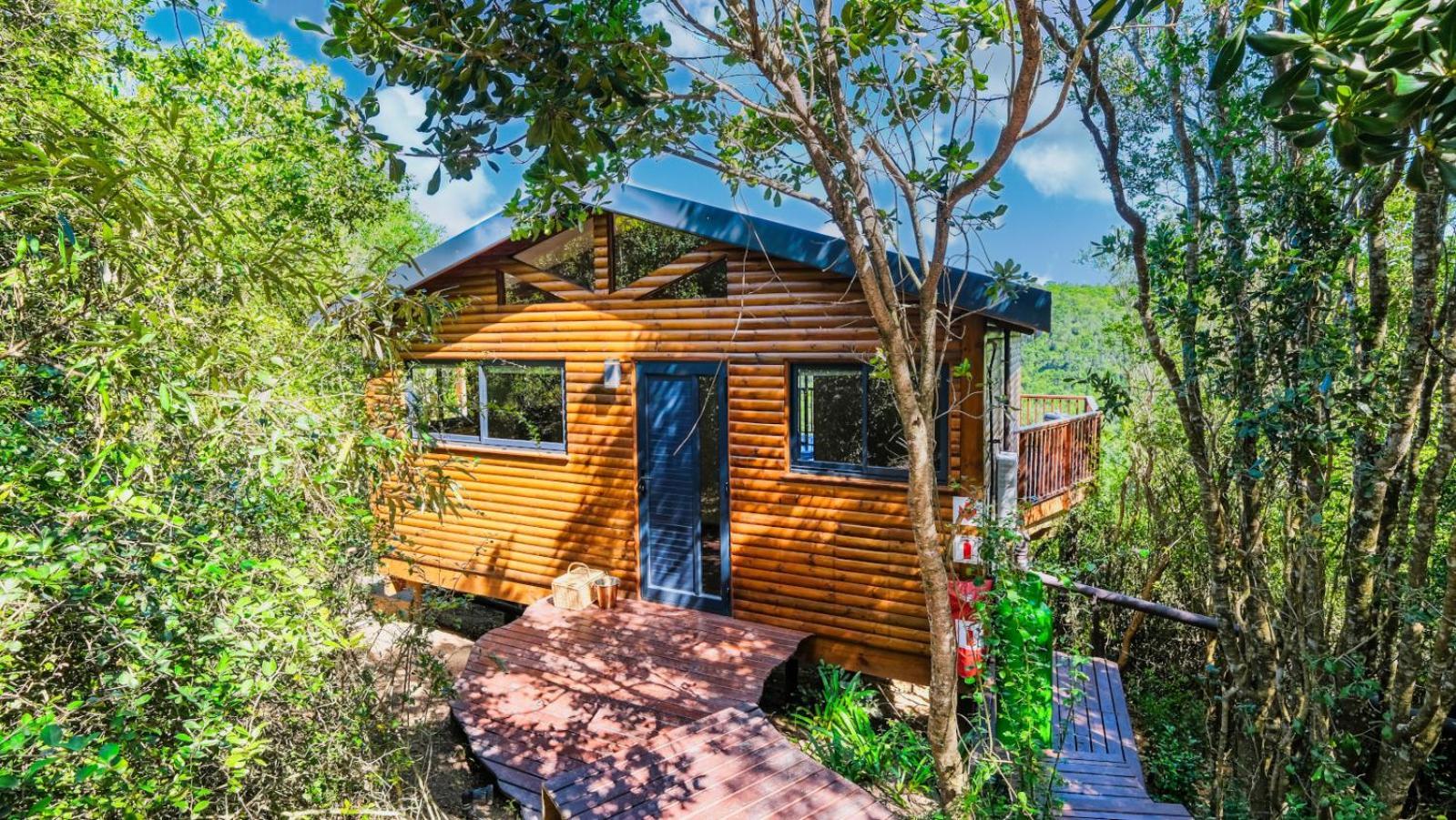 Teniqua Treetops Karatara Settlement Værelse billede