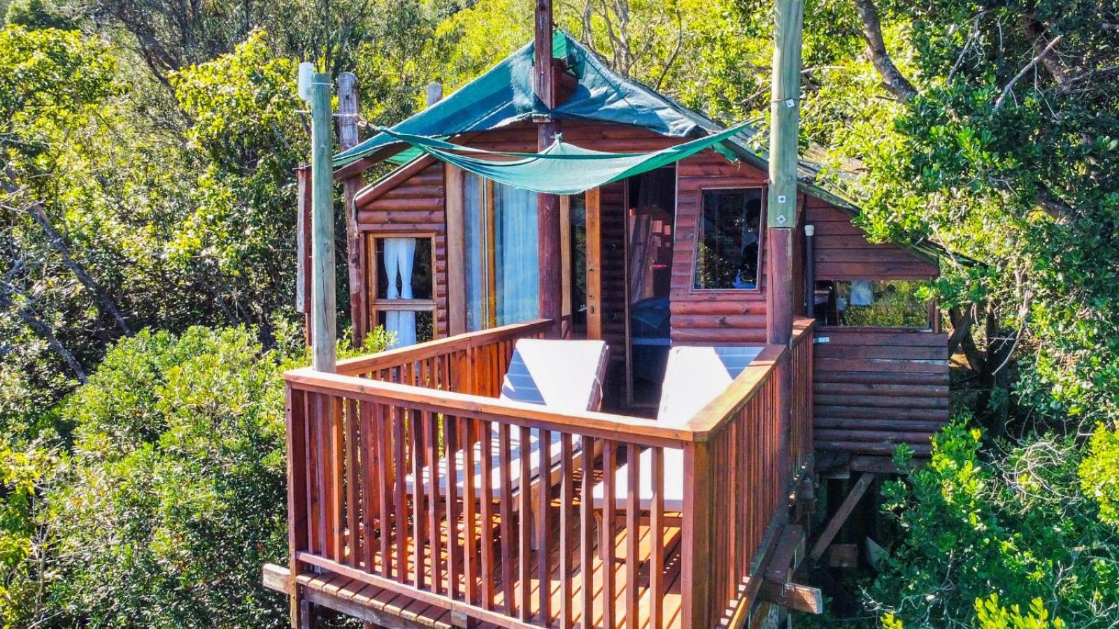 Teniqua Treetops Karatara Settlement Værelse billede