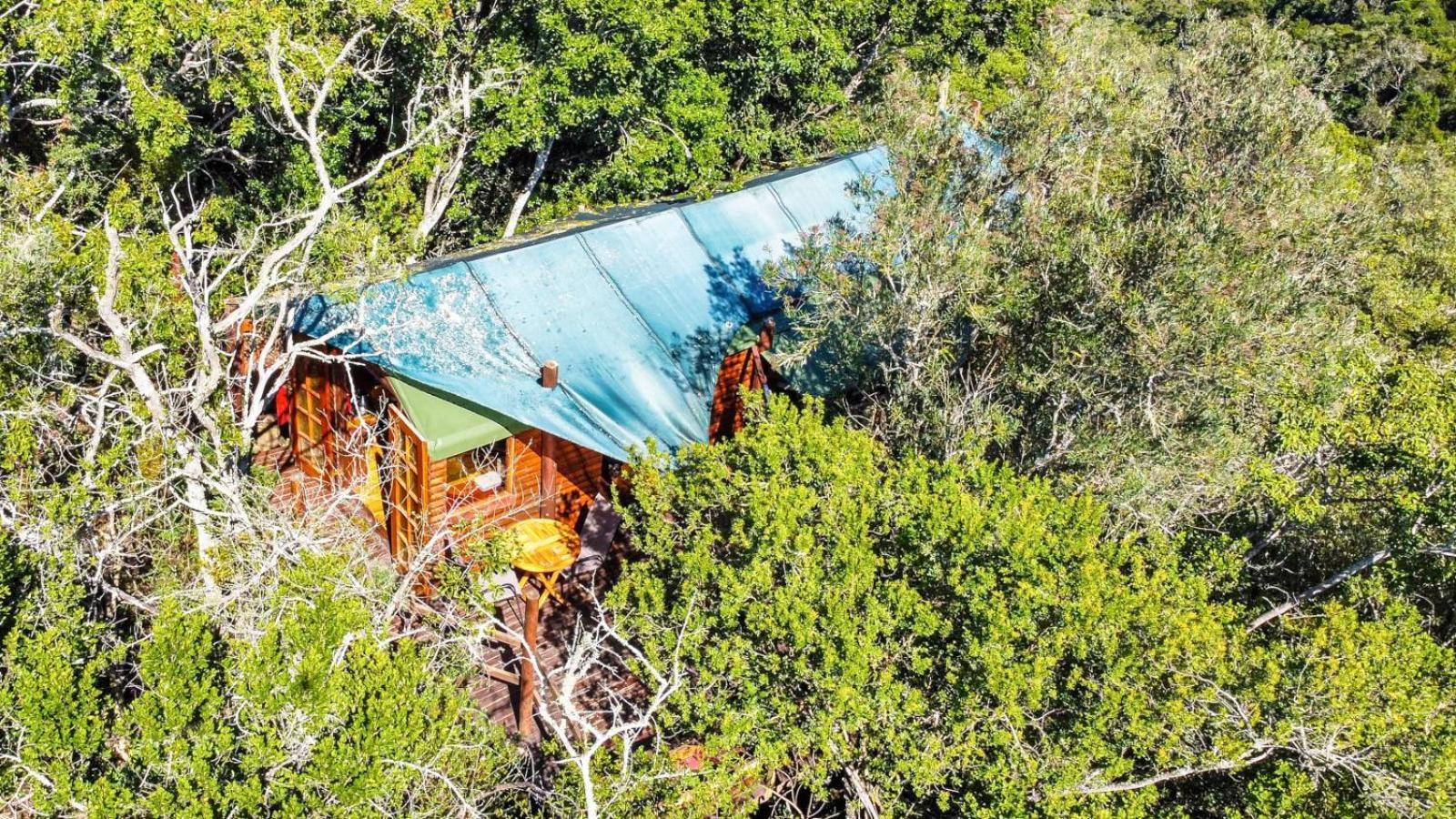 Teniqua Treetops Karatara Settlement Værelse billede