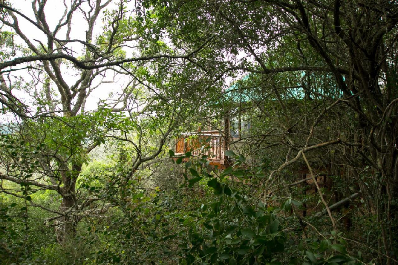 Teniqua Treetops Karatara Settlement Eksteriør billede