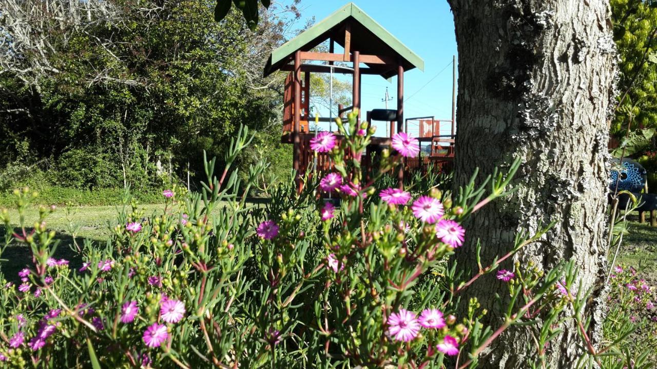 Teniqua Treetops Hotel Karatara Settlement Eksteriør billede