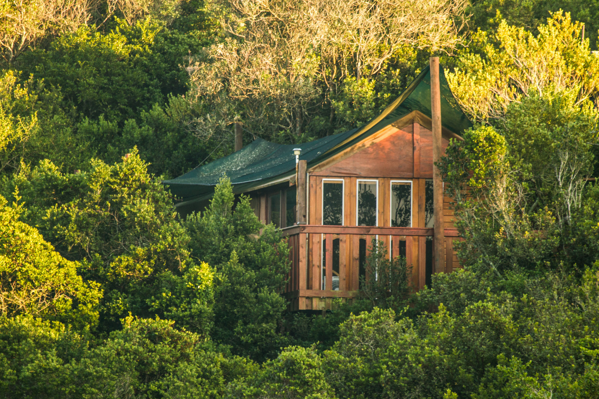 Teniqua Treetops Hotel Karatara Settlement Eksteriør billede