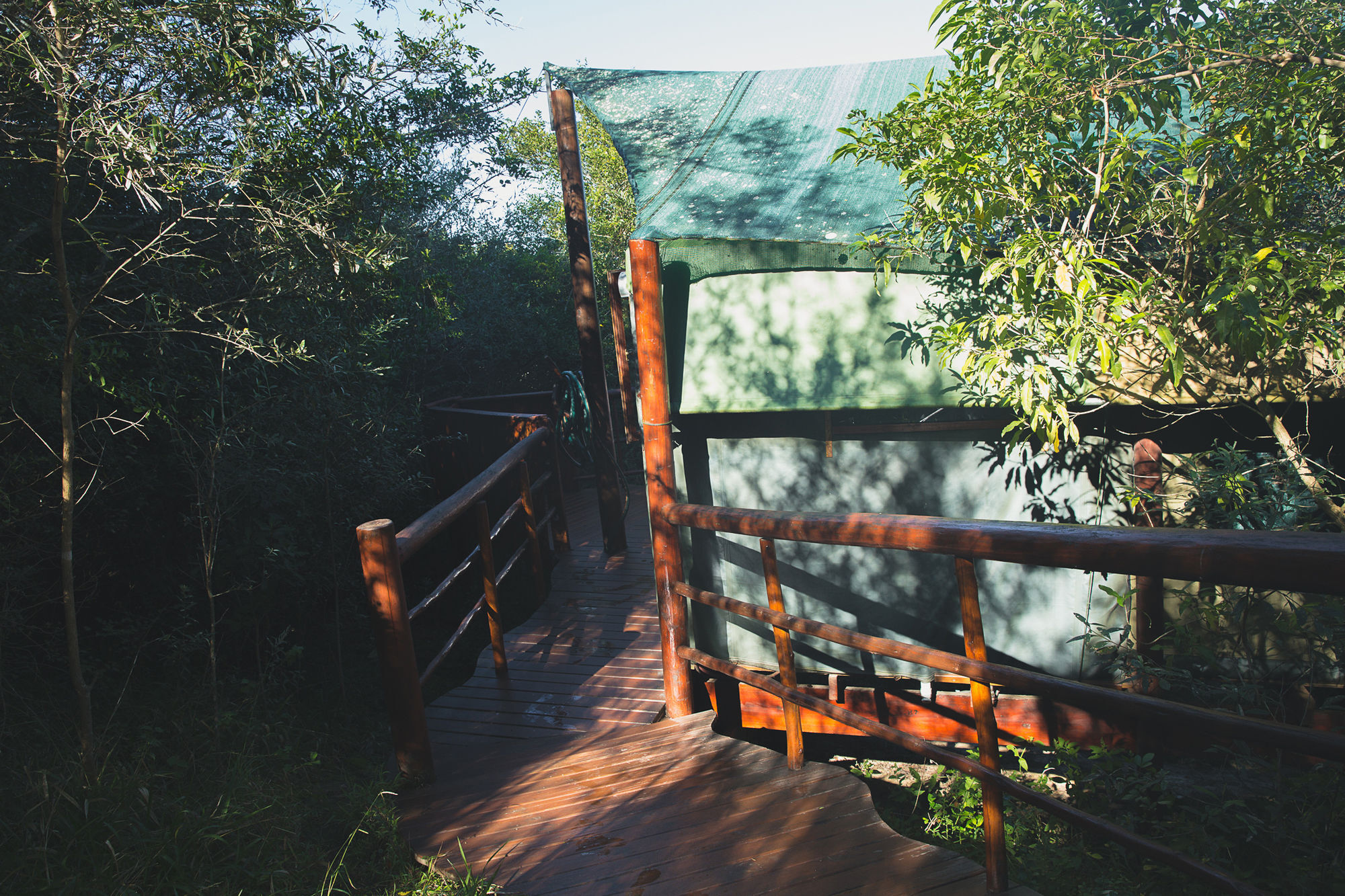 Teniqua Treetops Hotel Karatara Settlement Eksteriør billede