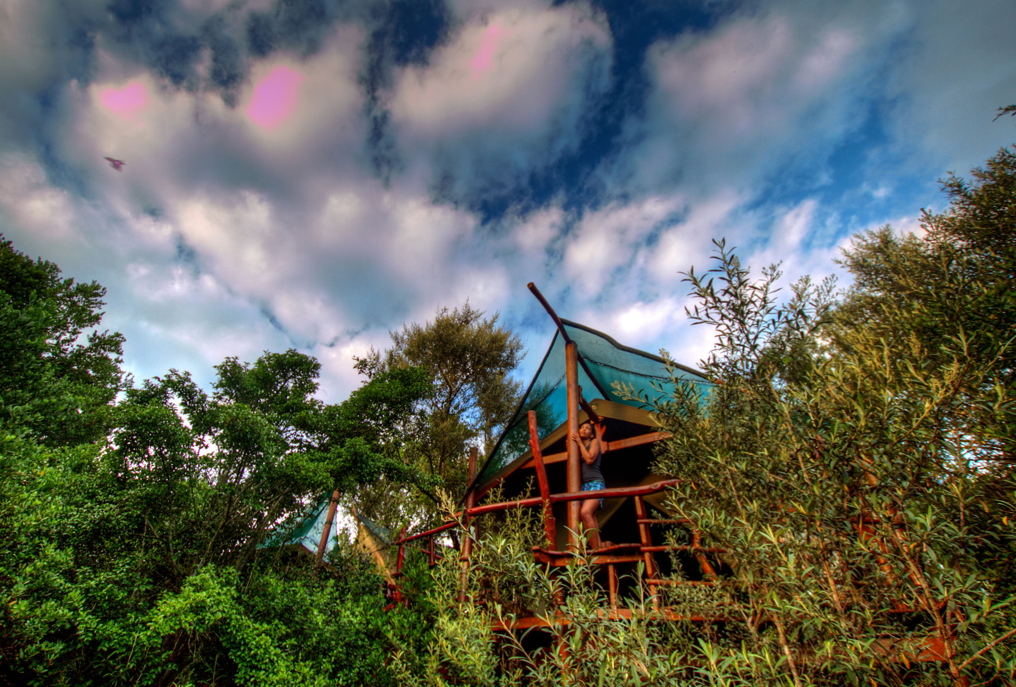 Teniqua Treetops Hotel Karatara Settlement Eksteriør billede